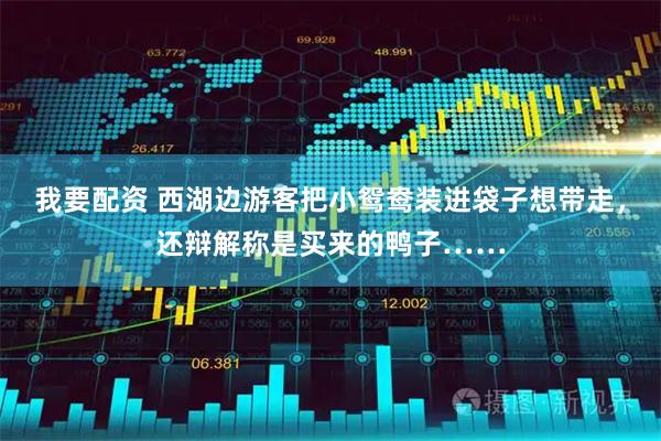 我要配资 西湖边游客把小鸳鸯装进袋子想带走，还辩解称是买来的鸭子……
