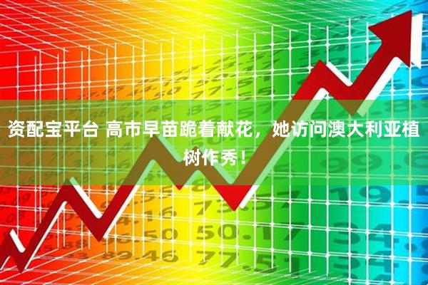 资配宝平台 高市早苗跪着献花，她访问澳大利亚植树作秀！